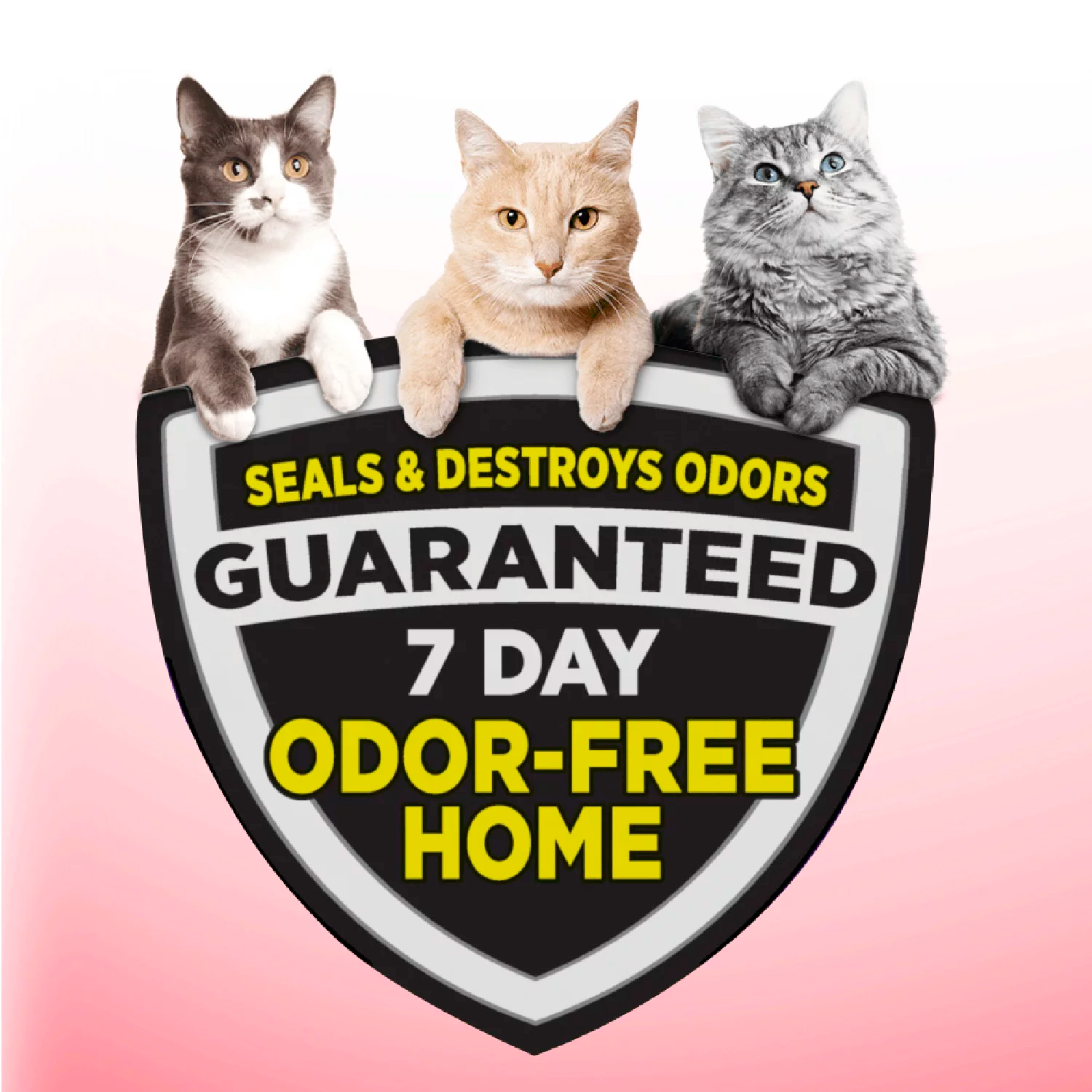 Arm & Hammer Clump & Seal Multi-Cat Complete Odor Sealing Clumping Cat Litter, 38lb - Image 3