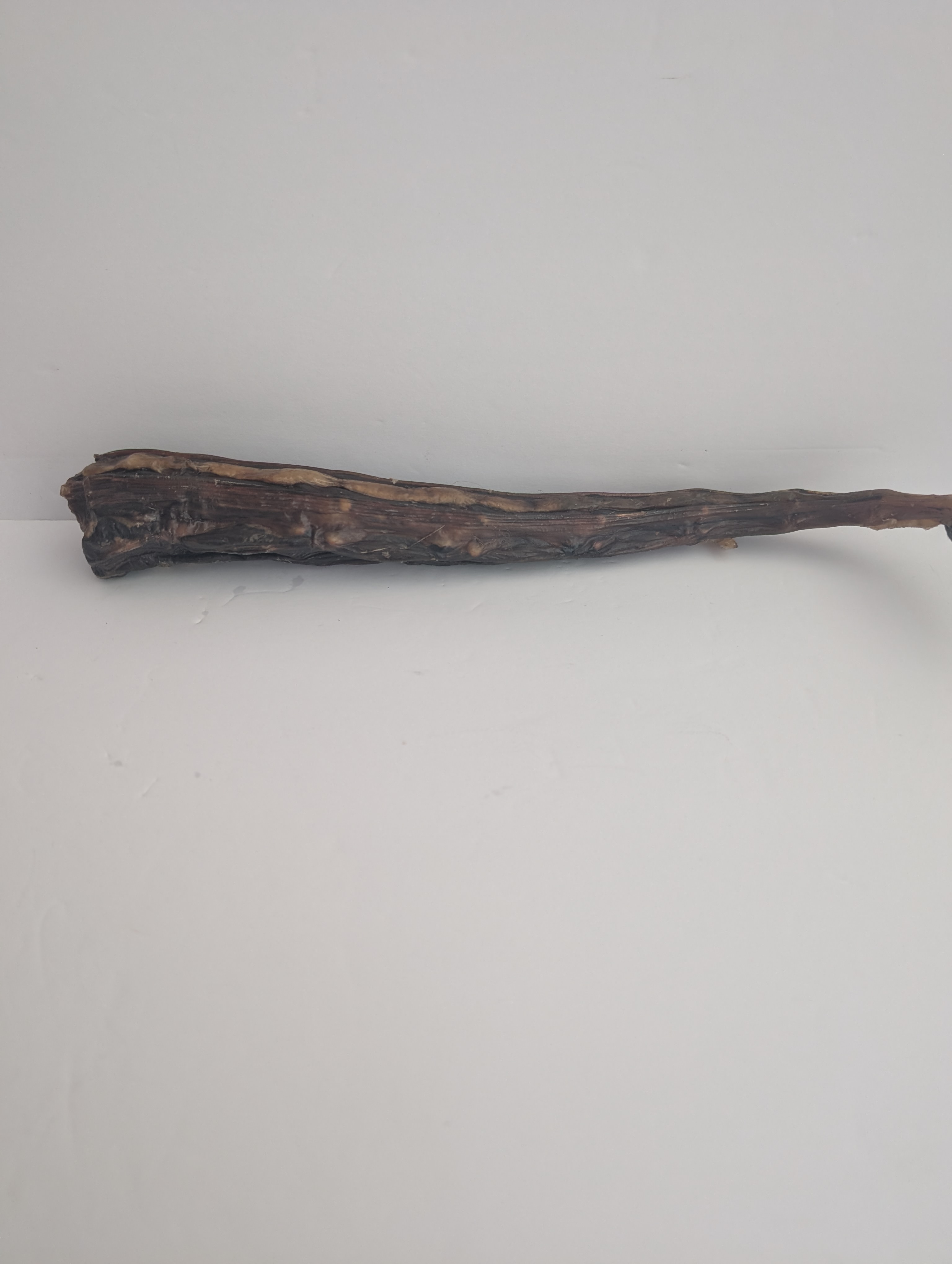 Kangaroo Tail - Dehydrated - 12 to 18 inches