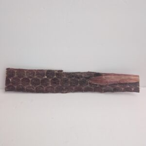 Buffalo Jerky - 1pc - 12 inches long