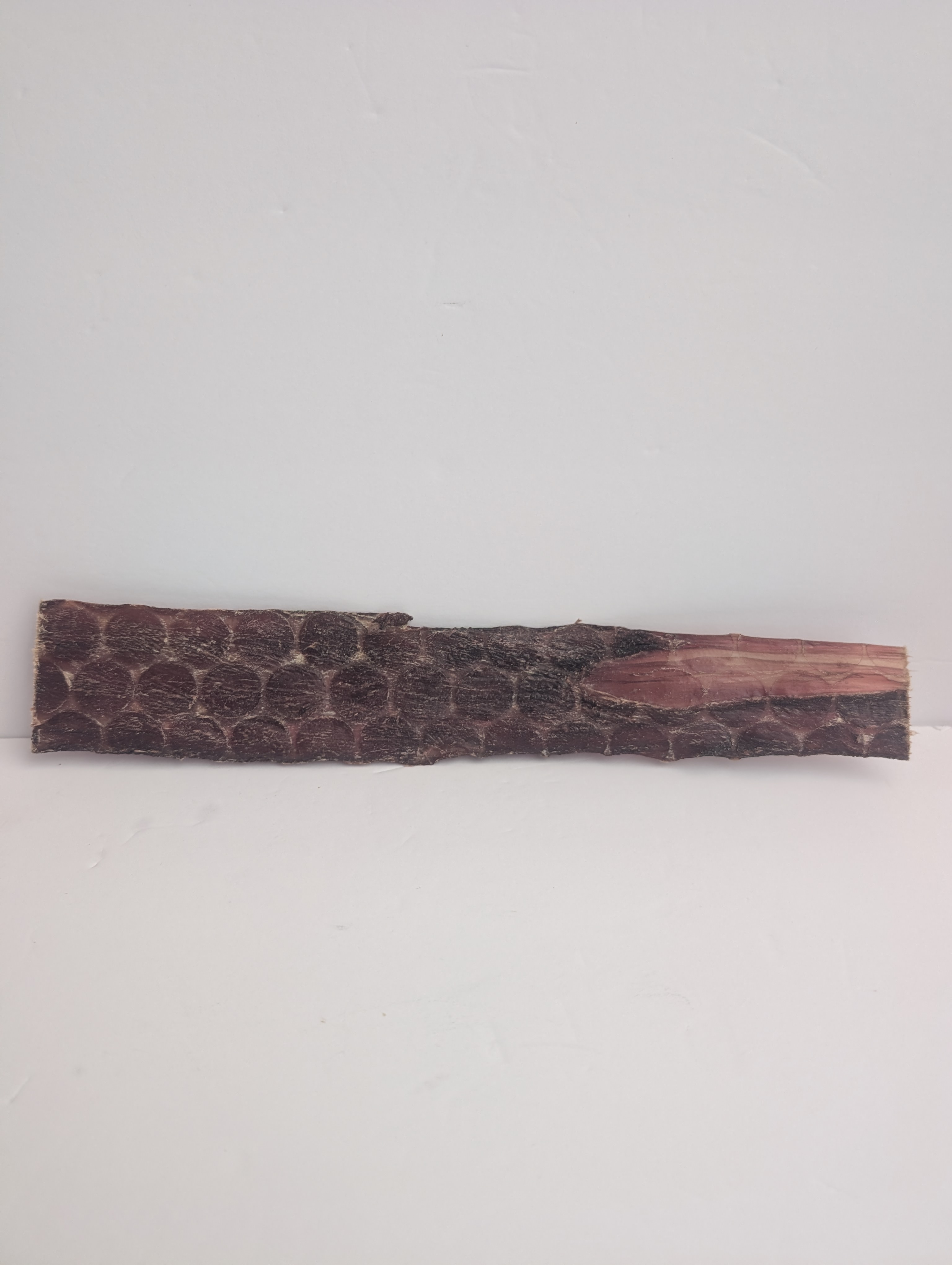 Buffalo Jerky - 1pc - 12 inches long